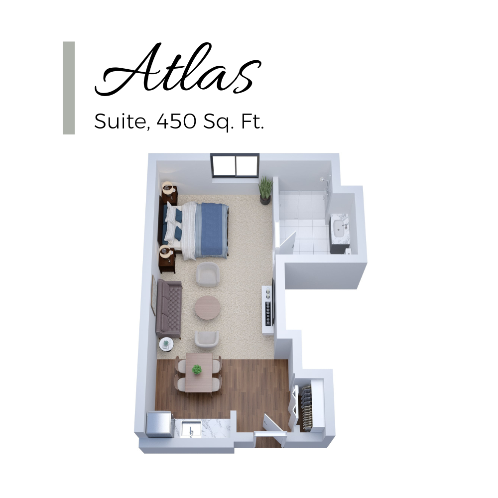 CNV Atlas