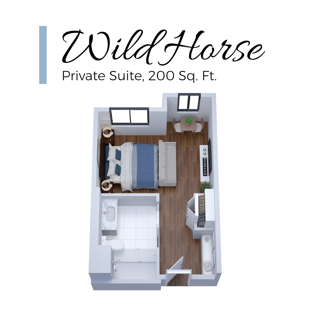 CNV MC WIld Horse